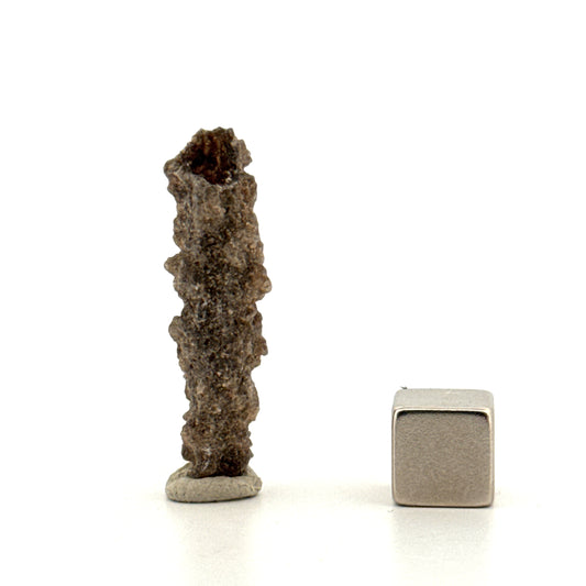 Fulgurite a Natural Glass Formed by Lightning | 1.39"