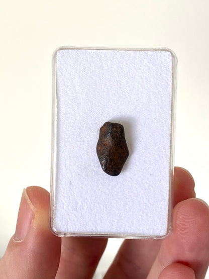 Agoudal Meteoriet fragment (2 Gram) - Marokko