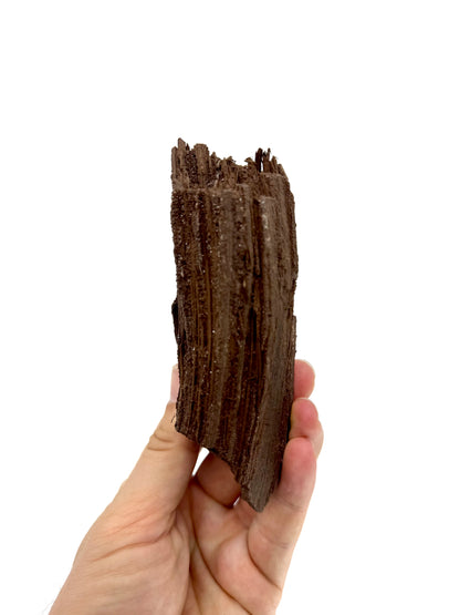 Groot stuk gepermineraliseerd hout bedekt met druzykwarts uit het Eoceen, Duitsland (246 Gram)