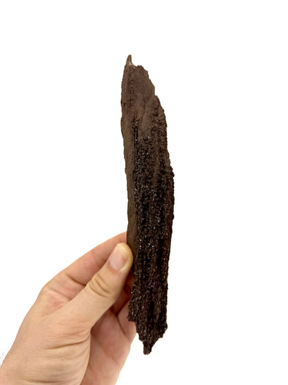 Groot stuk gepermineraliseerd hout bedekt met druzykwarts uit het Eoceen, Duitsland (210 Gram)