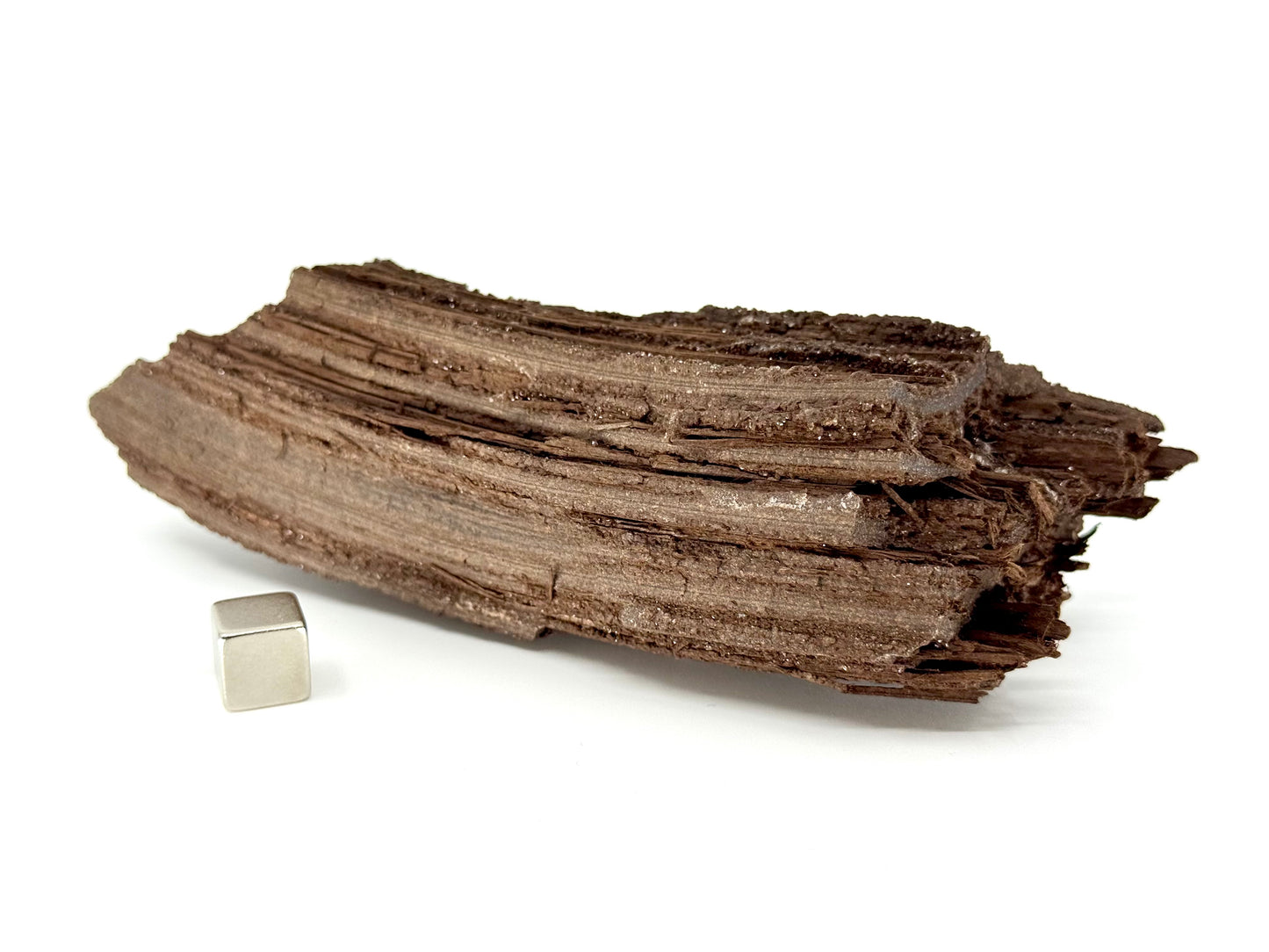 Groot stuk gepermineraliseerd hout bedekt met druzykwarts uit het Eoceen, Duitsland (246 Gram)