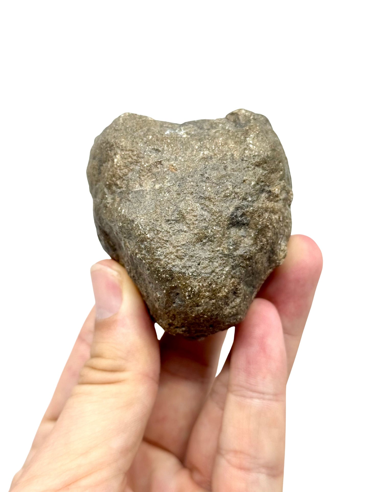 Asteroide Vesta Fragment (255 Gram) – Jikharra 001 (Eucrite Melt Breccia)