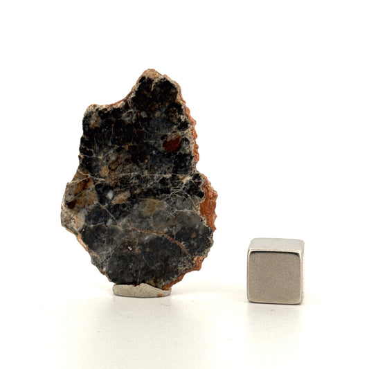 Gepolijste plak van een maanmeteoriet | 4 gram | Authentieke Bechar 007 maansteen