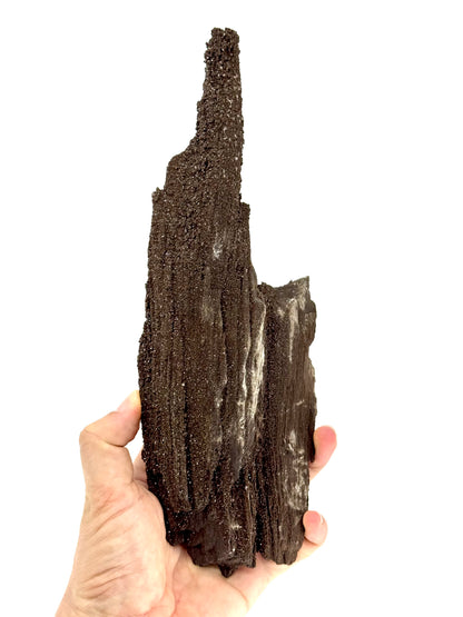 Groot stuk gepermineraliseerd hout bedekt met druzykwarts uit het Eoceen, Duitsland (611 Gram)