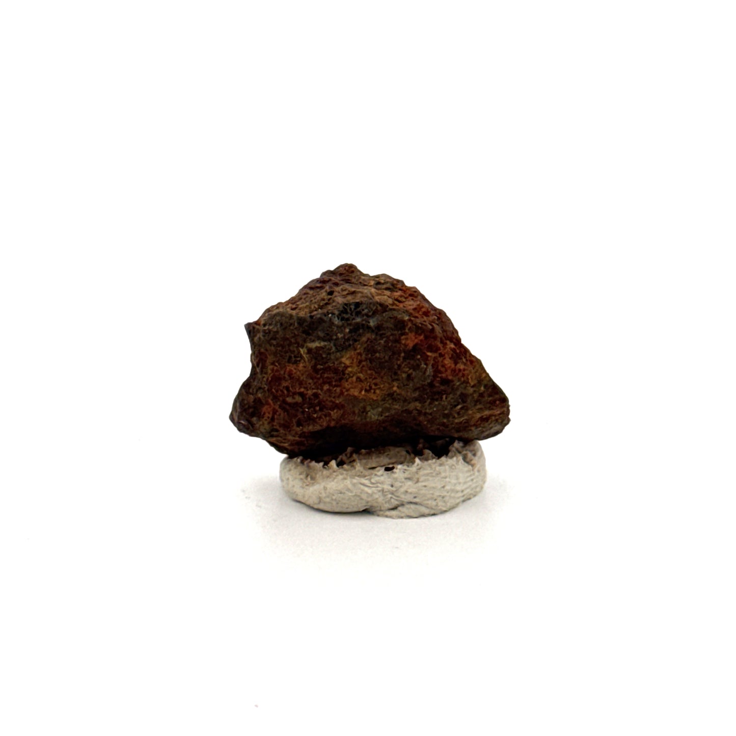 Authentiek ruw Sericho Pallasiet meteorietfragment uit Kenia (0,75 inch)
