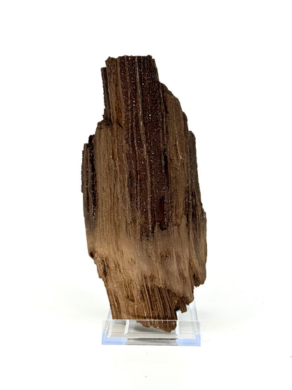 Groot stuk gepermineraliseerd hout bedekt met druzykwarts uit het Eoceen, Duitsland (669 Gram)
