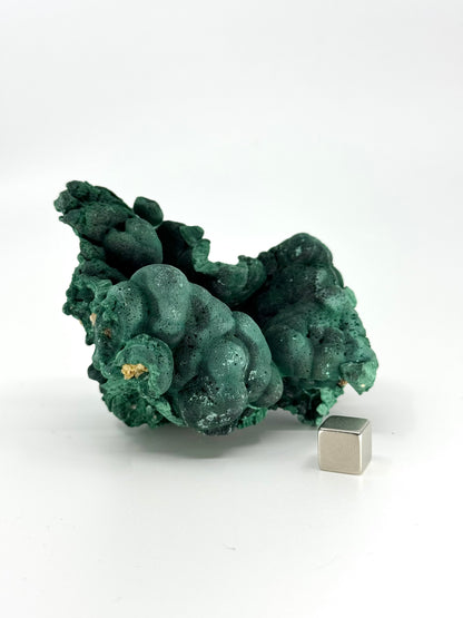 Raw Malachite Mineral (230 Grams) – Natural Copper Carbonate