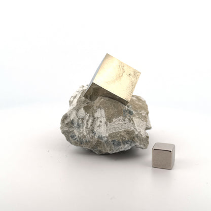 Pyrite on Matrix from Navajún a Natural Cubic Crystal (03)