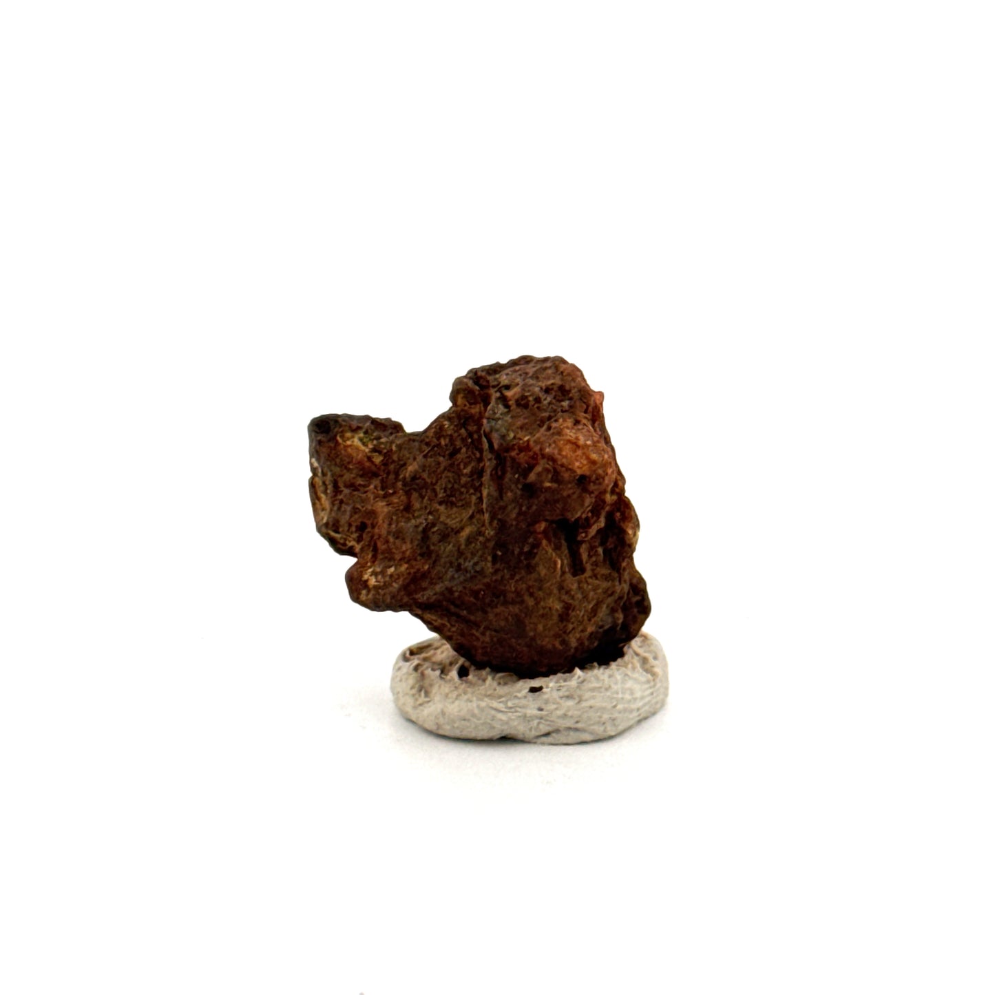 Authentiek ruw Sericho Pallasiet meteorietfragment uit Kenia (0,76 inch)