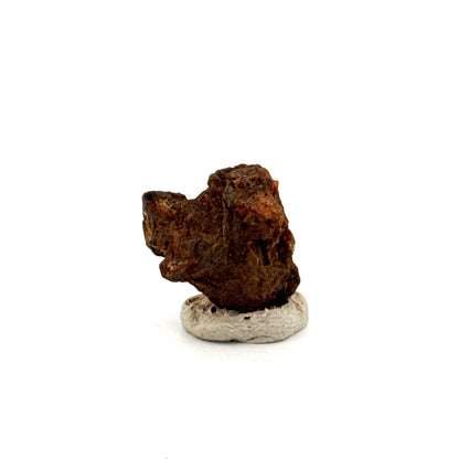 Authentiek ruw Sericho Pallasiet meteorietfragment uit Kenia (0,76 inch)