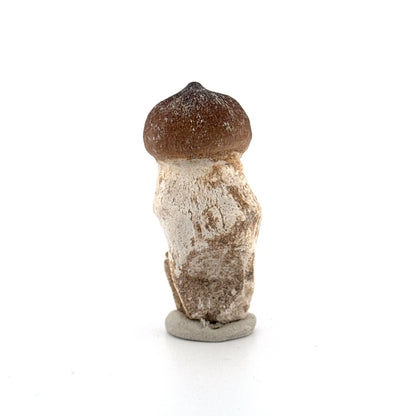 Globidens phosphaticus tooth with natural root from Cretaceous, Morocco (2.09")