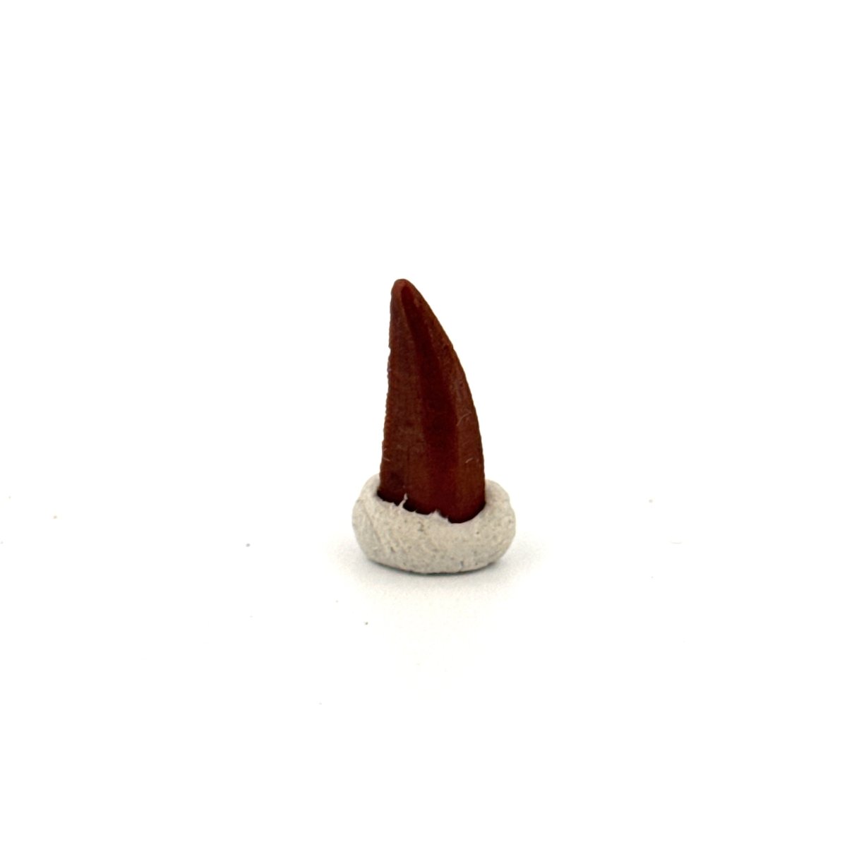 Abelisaurid fossil dinosaur tooth (0.60") from Kem Kem, Morocco - FossilsAndMore