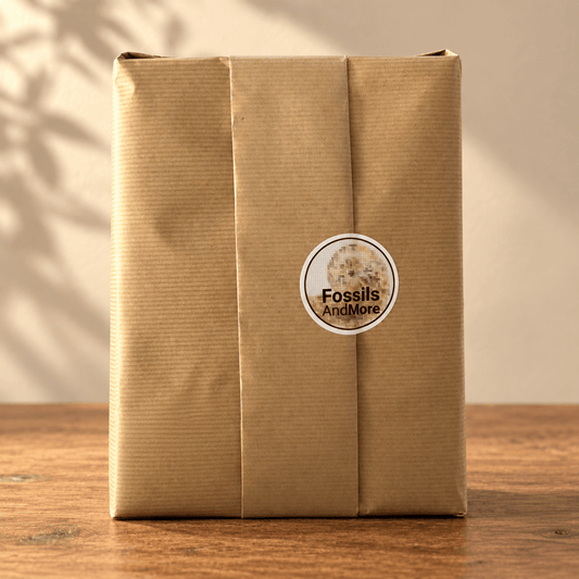 Advent Calendar 24 boxes of Fossils, Minerals and Meteorites | 2026 - FossilsAndMore