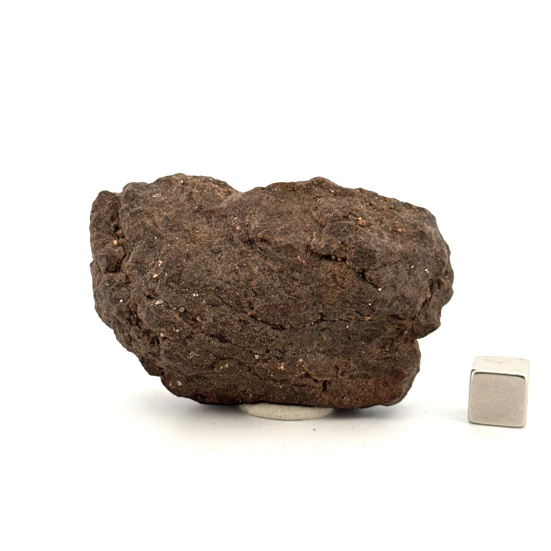 Al Haggouina 001 Meteorite fragment from Western Sahara | 121 Grams - FossilsAndMore