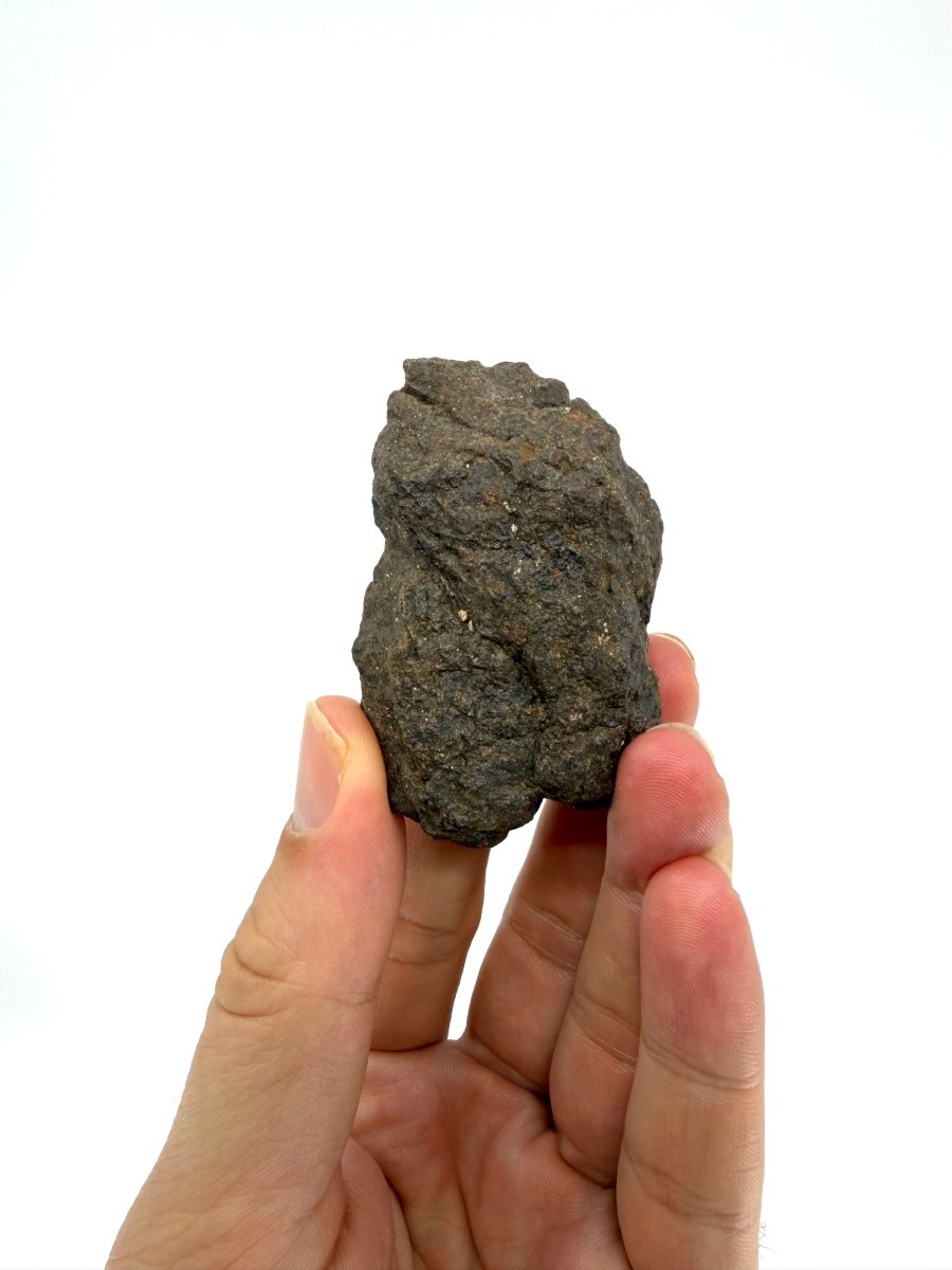 Al Haggouina 001 Meteorite fragment from Western Sahara | 121 Grams - FossilsAndMore