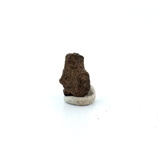 Al Haggouina Meteorite fragment (0.58") from Western Sahara - FossilsAndMore