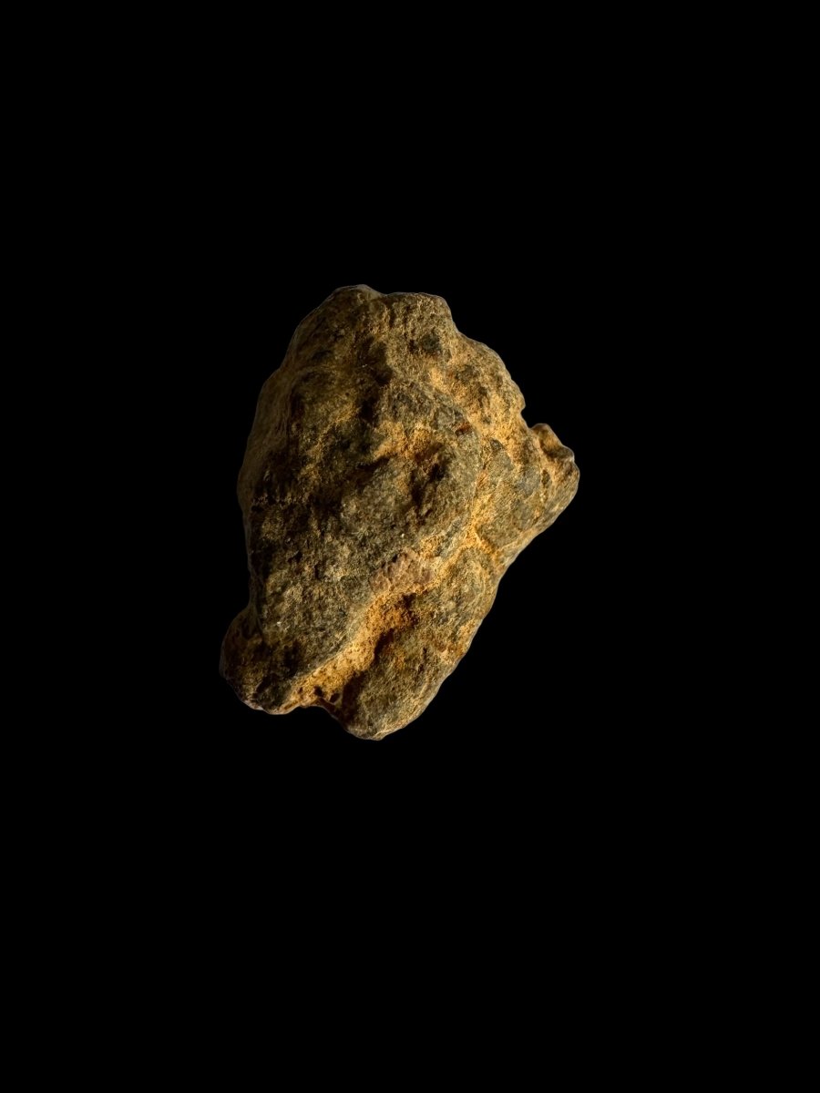Al Haggouina Meteorite fragment (0.58") from Western Sahara - FossilsAndMore