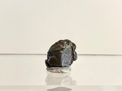 Aletai meteorite fragment (0.78") - China - FossilsAndMore