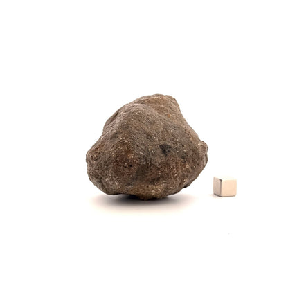 Asteroid Vesta Fragment (255 Grams) – Jikharra 001 (Eucrite Melt Breccia) - FossilsAndMore