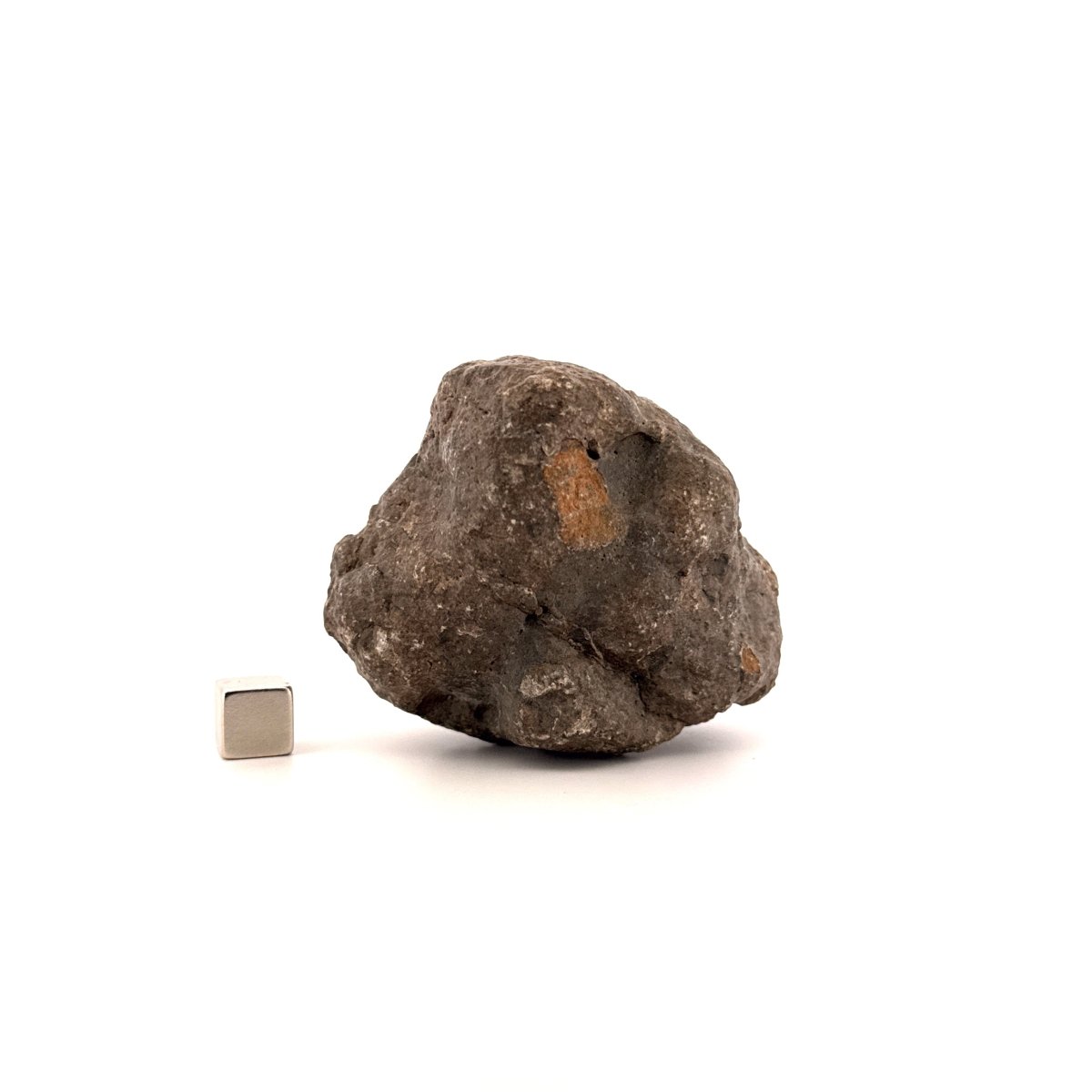 Asteroid Vesta Fragment (255 Grams) – Jikharra 001 (Eucrite Melt Breccia) - FossilsAndMore