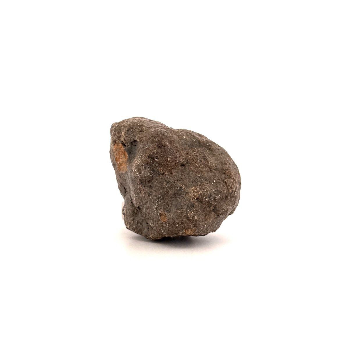 Asteroid Vesta Fragment (255 Grams) – Jikharra 001 (Eucrite Melt Breccia) - FossilsAndMore