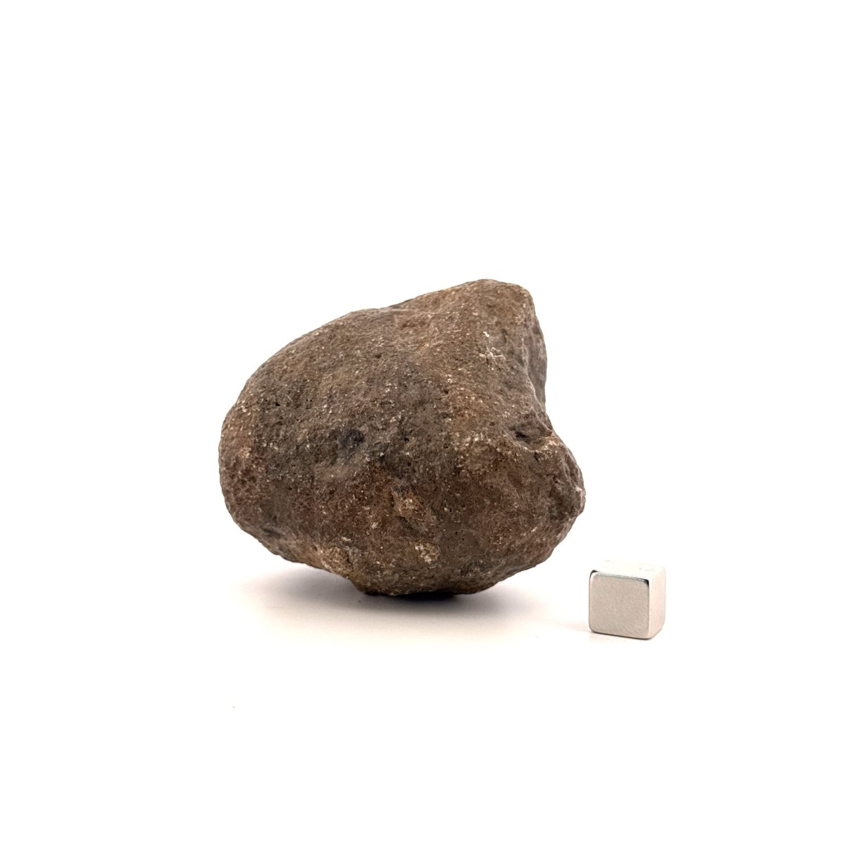Asteroid Vesta Fragment (255 Grams) – Jikharra 001 (Eucrite Melt Breccia) - FossilsAndMore