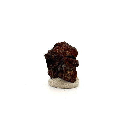 Authentic raw Sericho Pallasite Meteorite Fragment from Kenya (0.69") - FossilsAndMore