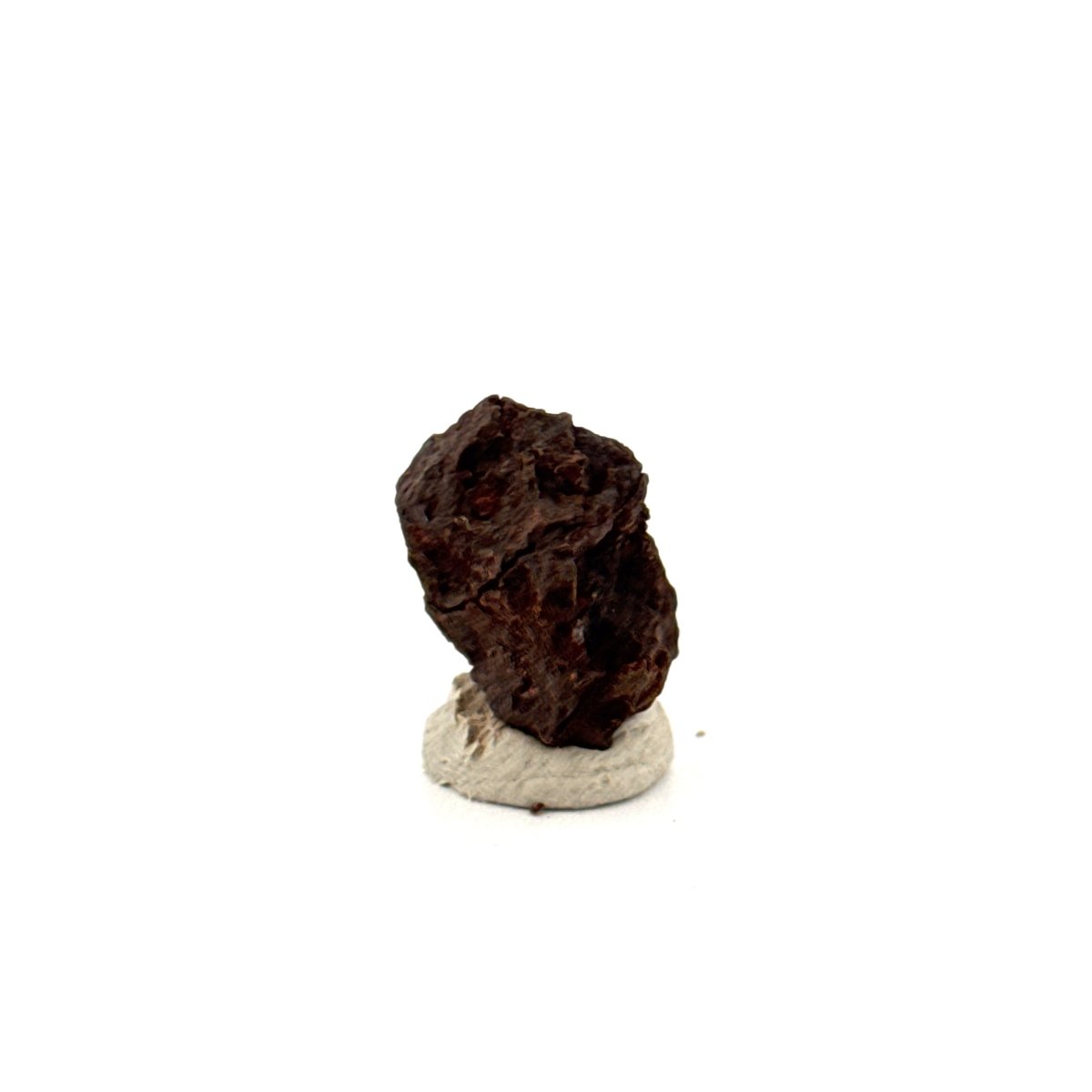Authentic raw Sericho Pallasite Meteorite Fragment from Kenya (0.69") - FossilsAndMore