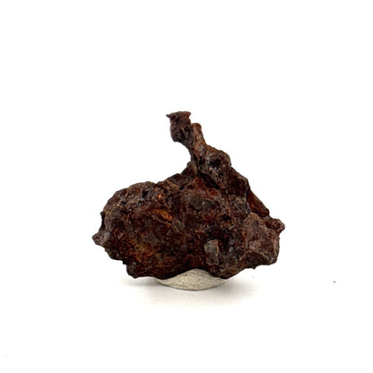 Authentic raw Sericho Pallasite Meteorite Fragment from Kenya (0.99") - FossilsAndMore