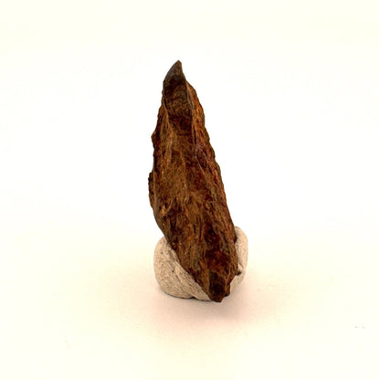 Authentic raw Sericho Pallasite Meteorite Fragment from Kenya (1.20") - FossilsAndMore