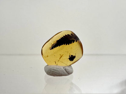 Burmese Amber fossil with leaf inclusion, Cretaceous period (0.52") - FossilsAndMore
