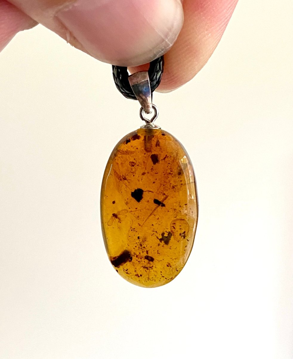 Burmite amber pendant with small fly (0.89") - FossilsAndMore