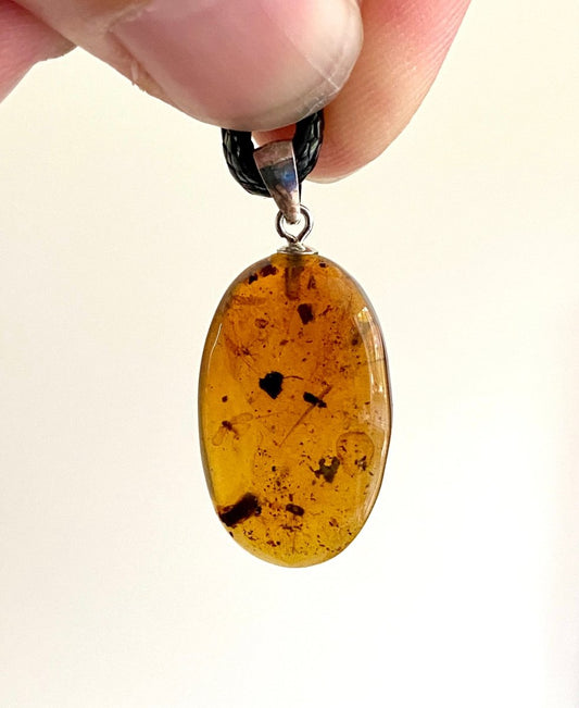 Burmite amber pendant with small fly (0.89") - FossilsAndMore