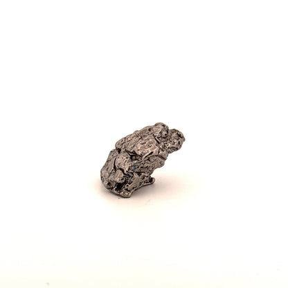 Campo del Cielo Meteorite fragment from Argentina (29 Grams) - FossilsAndMore