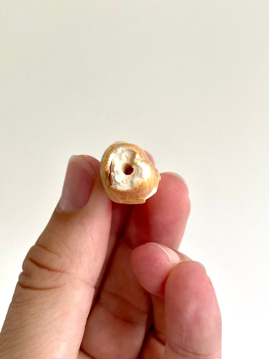Cave Bear incisor fossil from Rumania, Ursus Spelaeus (1.75") - FossilsAndMore