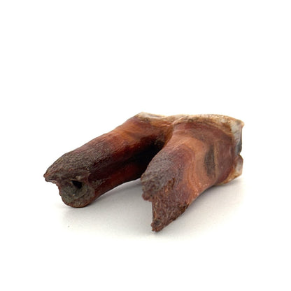 Coelodonta antiquitatis, Woolly Rhinoceros Molar (1.90") from Pleistocene, Siberia - FossilsAndMore