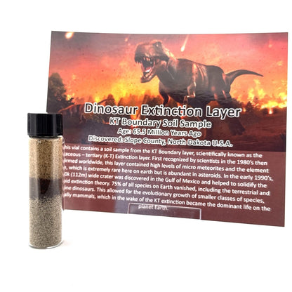 Dinosaur Extinction Layer – K-T Boundary Soil Specimen from Slope County, USA - FossilsAndMore