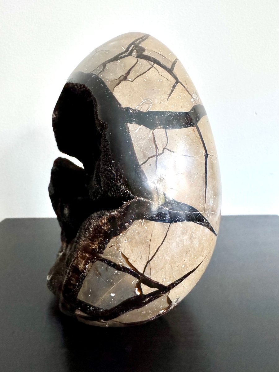 Dragon’s Egg Septarian Geode (2122 Grams) – Natural Stone from Madagascar - FossilsAndMore