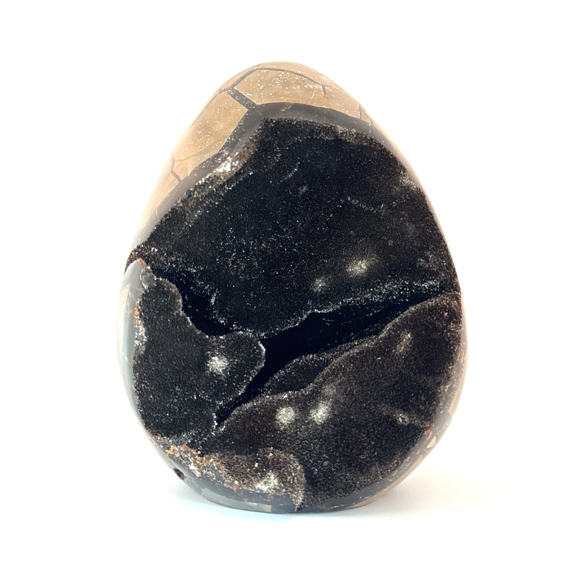 Dragon’s Egg Septarian Geode (2122 Grams) – Natural Stone from Madagascar - FossilsAndMore