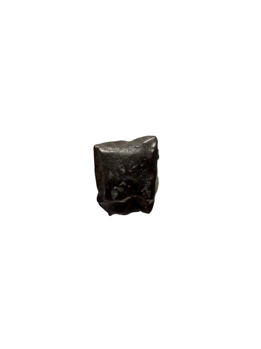 Edmontosaurus Tooth Fragment from Hell Creek Formation | 0.31" - FossilsAndMore