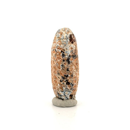 Fossil Pine Cone, Equicalastrobus chinlea (1.97") - Eocene plant fossil from Morocco - FossilsAndMore
