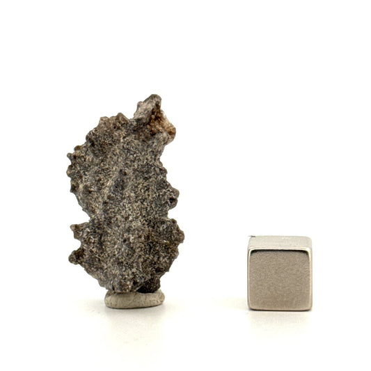 Fulgurite a Natural Glass Formed by Lightning | 1.19" - FossilsAndMore