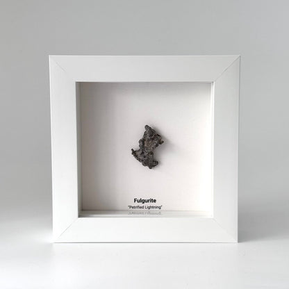 Fulgurite, Nature’s Lightning Formed Gemstone in Deep Box Frame - FossilsAndMore