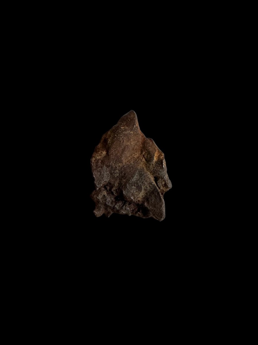 Gebel Kamil Iron Meteorite fragments from Egypt - FossilsAndMore
