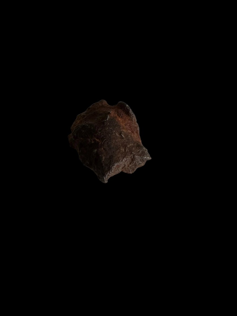 Gebel Kamil Iron Meteorite fragments from Egypt - FossilsAndMore