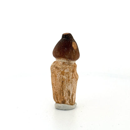 Globidens fossil tooth with natural root (2.17") - Cretaceous, Morocco - FossilsAndMore