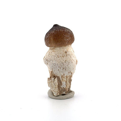Globidens phosphaticus tooth with natural root from Cretaceous, Morocco (2.09") - FossilsAndMore
