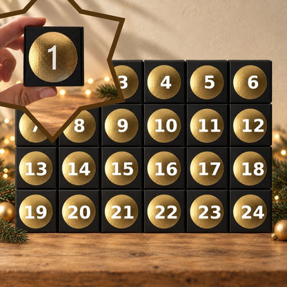 Adventskalender 24 doosjes met fossielen, mineralen en meteorieten | 2026