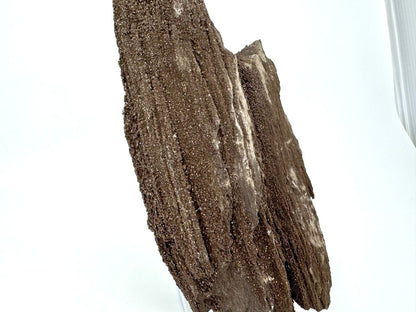 Large Permineralized Wood Covered In Druzy Quartz from Germany (611 Grams) - FossilsAndMore