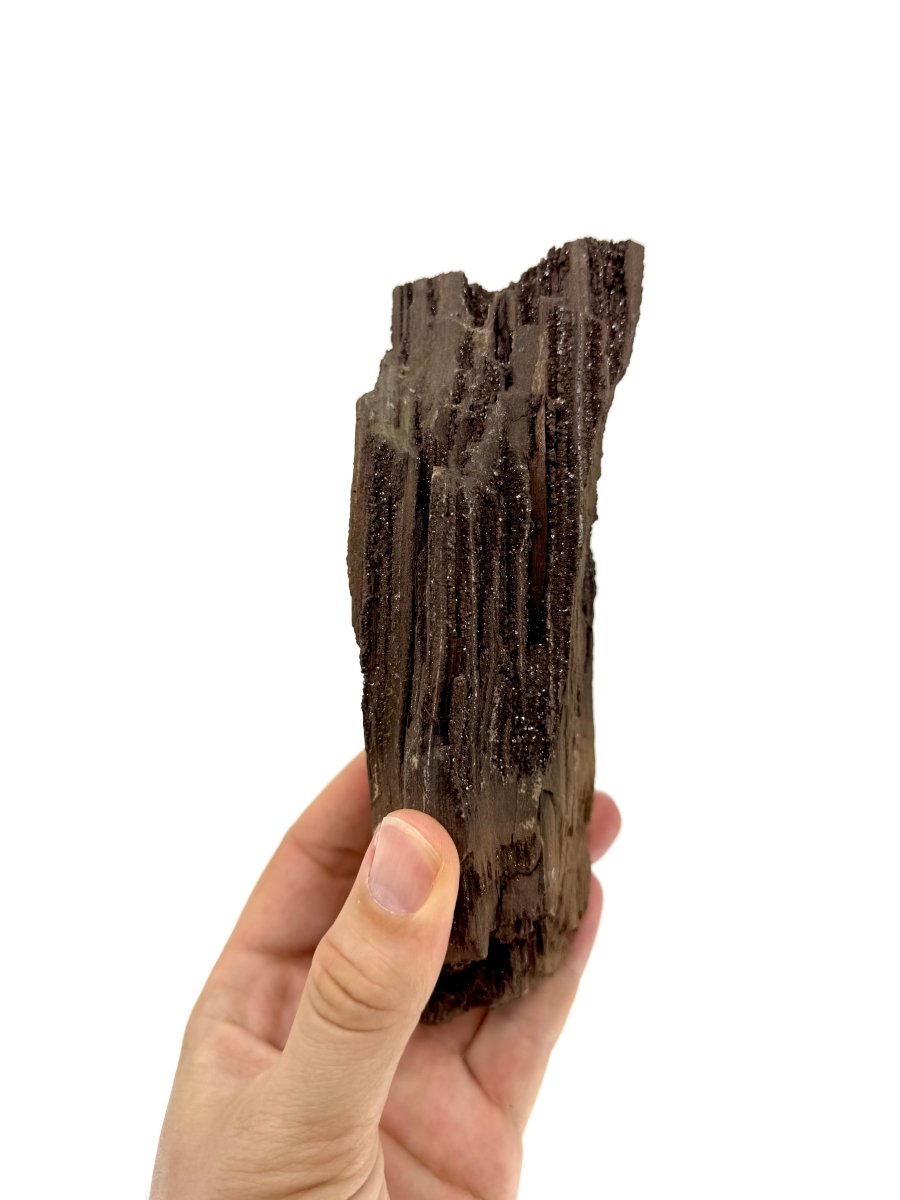 Large Permineralized Wood Covered In Druzy Quartz from Germany (669 Grams) - FossilsAndMore